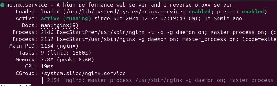 nginx-status