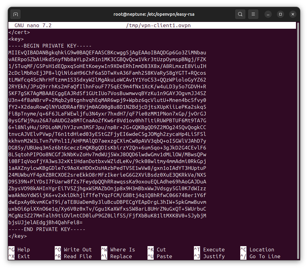 openvpn-ubuntu-client-config-private-key-inline