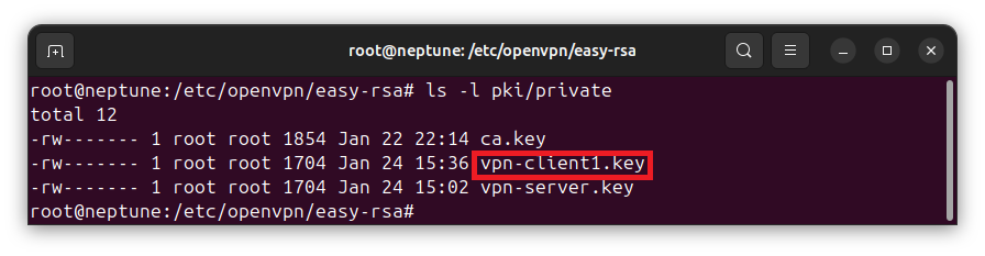 openvpn-install-ubuntu-client-private-key